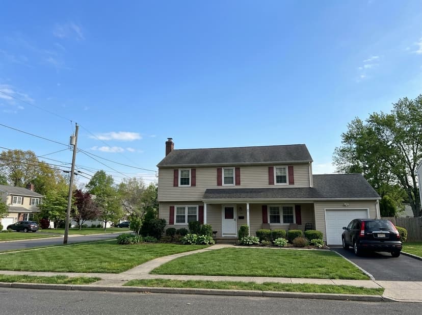 After - Full Tree Removal in San Andreas, CA