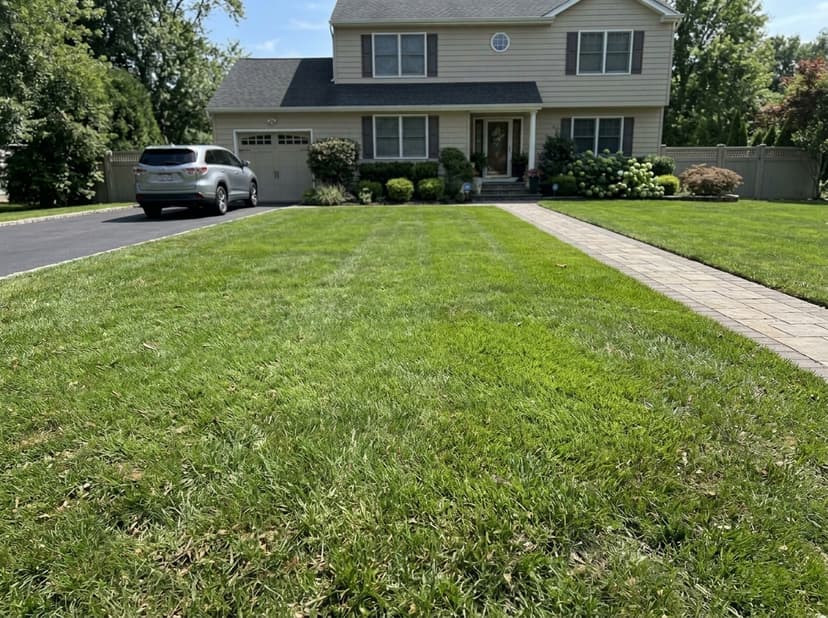 After - Stump Grinding in San Andreas, CA